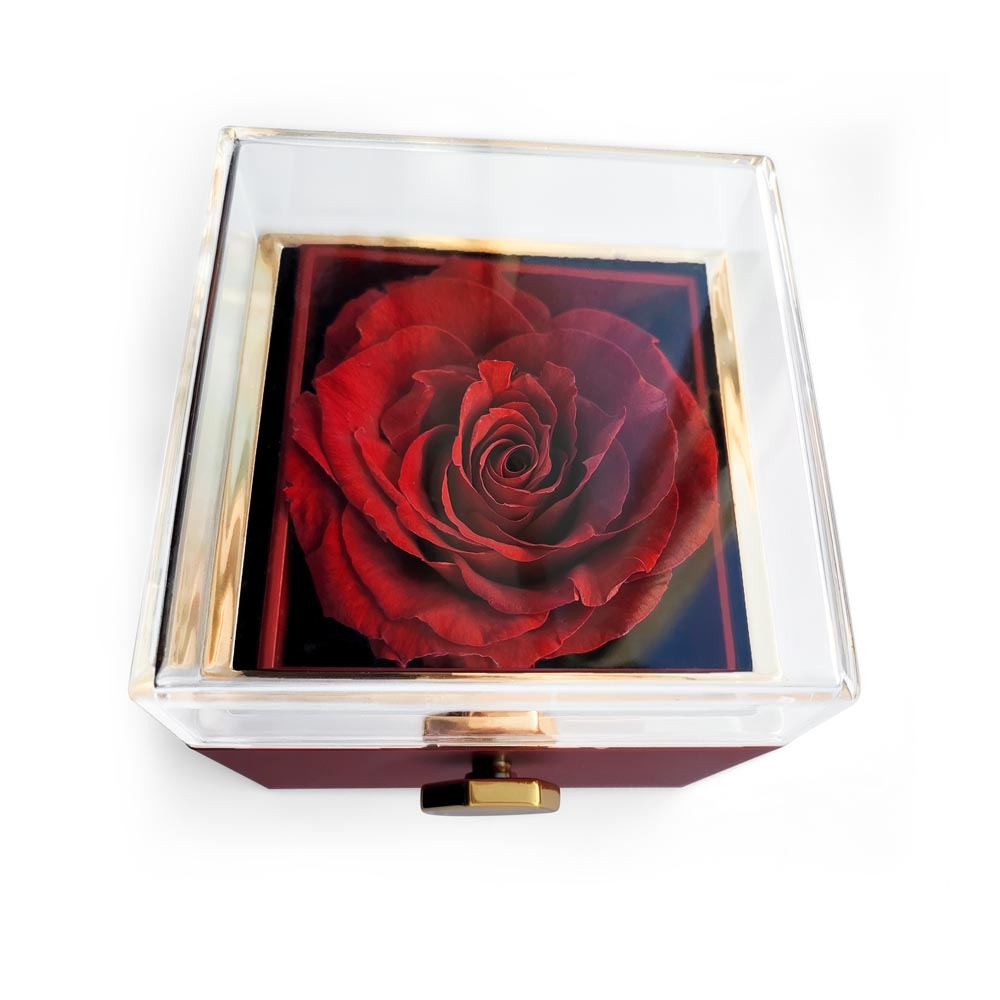 To My Beautiful Wife, When I Tell You That I Love You - Love Knot with Rotating Rose Gift Box