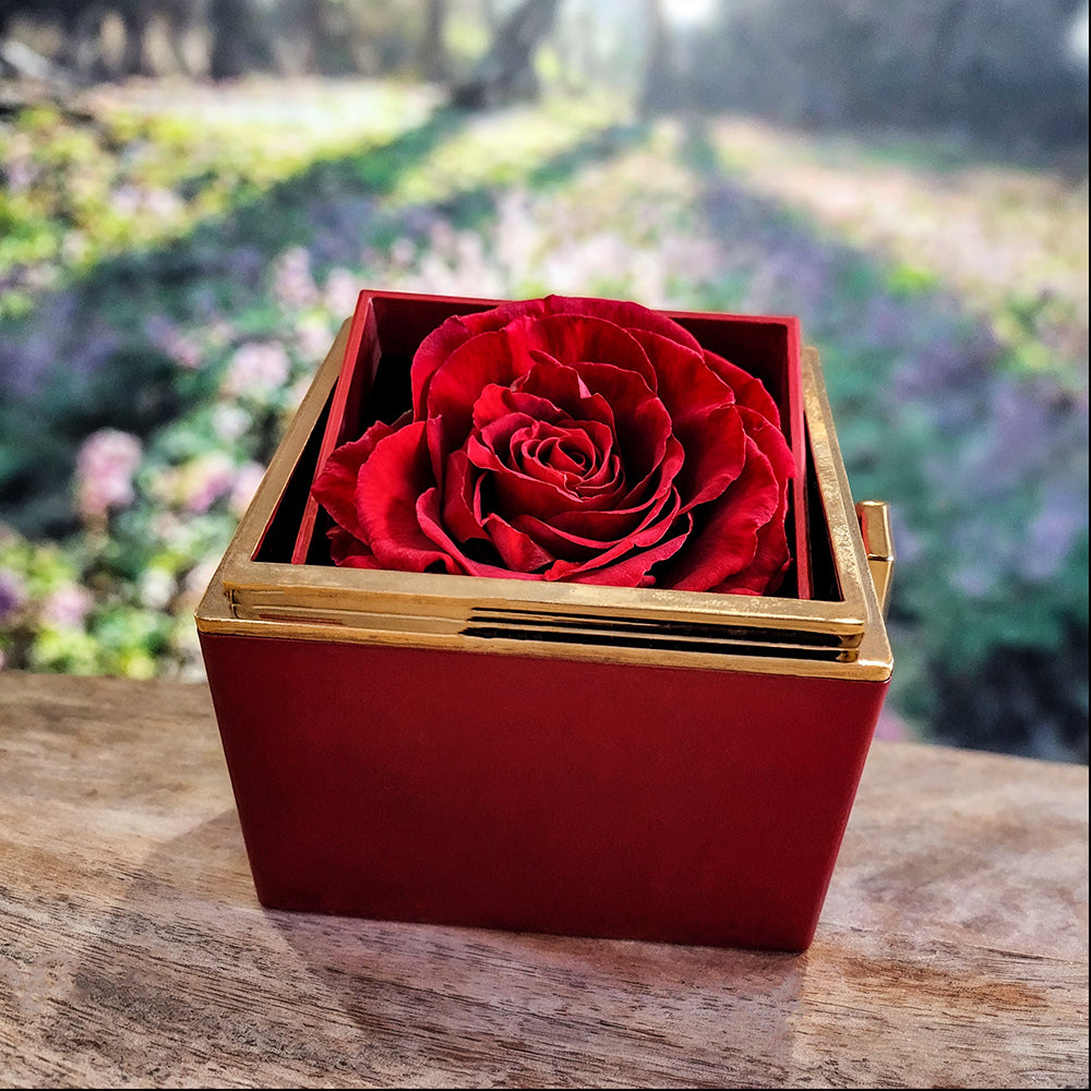 To My Beautiful Wife, When I Tell You That I Love You - Love Knot with Rotating Rose Gift Box