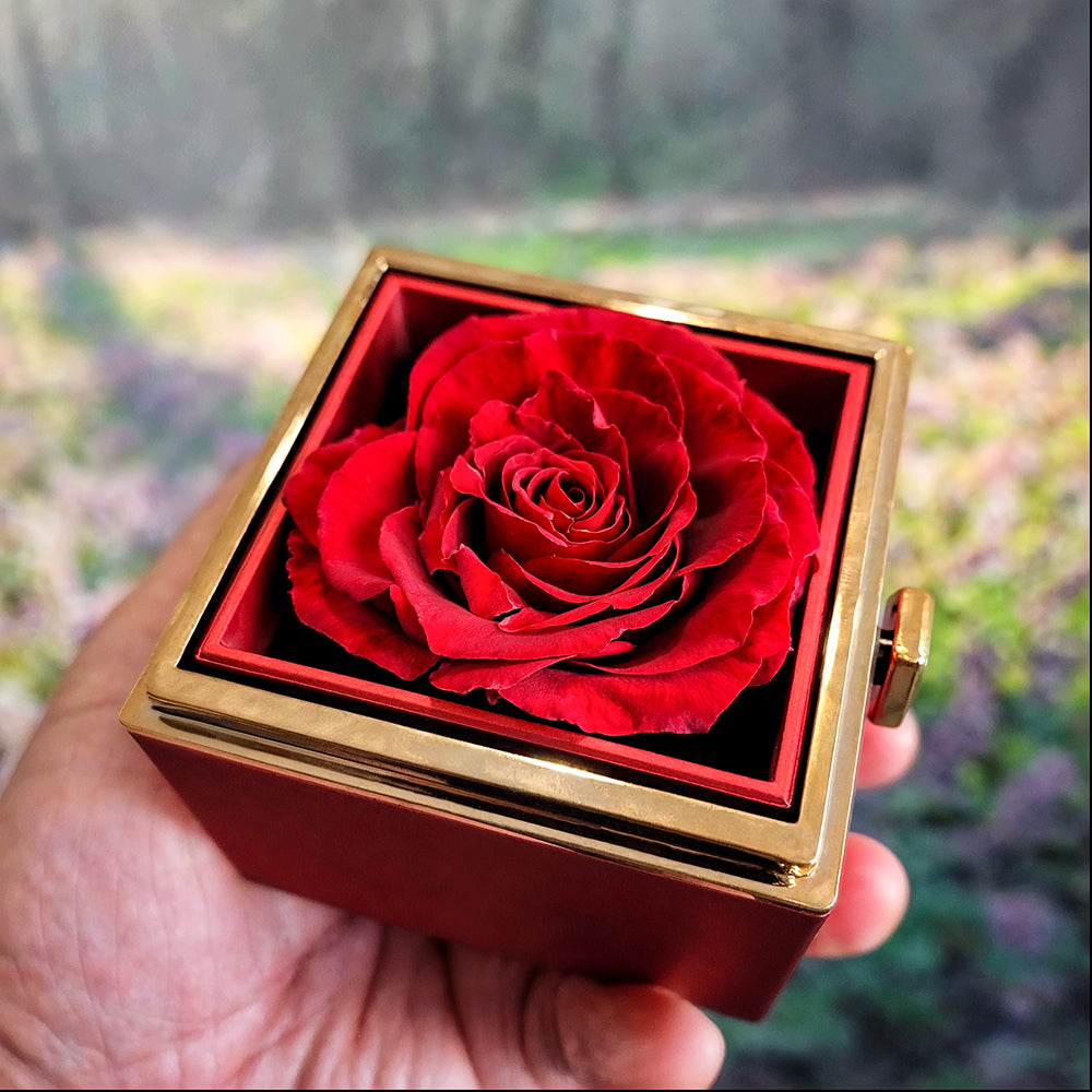 To My Beautiful Wife, When I Tell You That I Love You - Love Knot with Rotating Rose Gift Box
